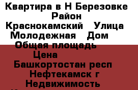 Квартира в Н-Березовке › Район ­ Краснокамский › Улица ­ Молодежная › Дом ­ 5 › Общая площадь ­ 40 › Цена ­ 880 000 - Башкортостан респ., Нефтекамск г. Недвижимость » Квартиры продажа   . Башкортостан респ.,Нефтекамск г.